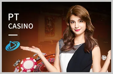 Hoa hồng cạnh tranh k88c